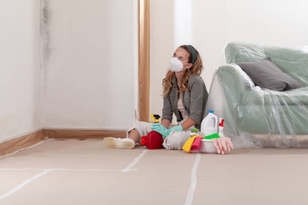 Reliable Black Mold Removal contractor in Lakewood, NJ by WQB Mold Removal